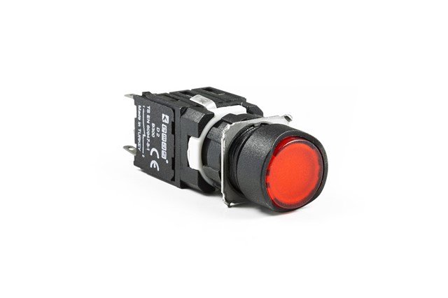 D Series Plastic 1NC Spring Round Flush Red 16 mm Control Unit